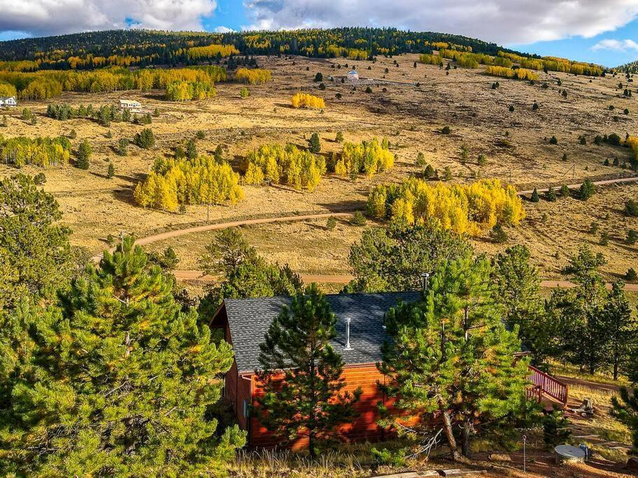 Monarch Landing, A Cozy Cabin W/360 Mountain Views Cripple Creek Zewnętrze zdjęcie